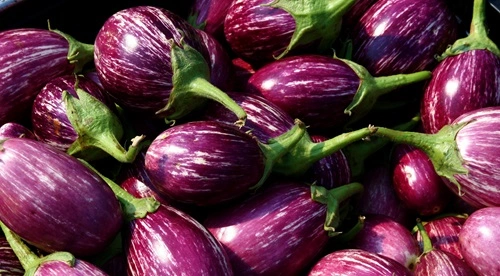 Brinjal