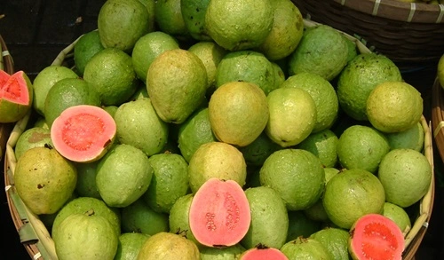 Guava