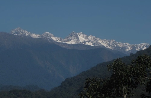 Namdapha Forests