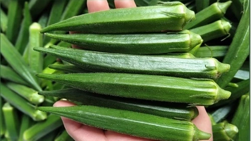 Okra