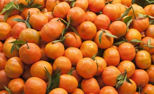 Oranges