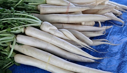 Radish(Mooli)