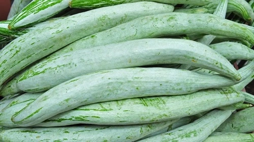 Snake gourd